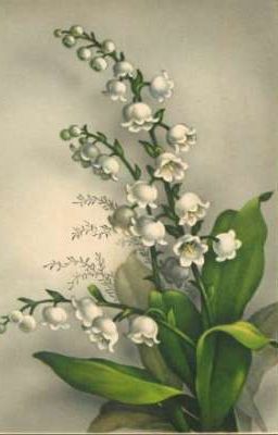 [BHTT] Nhà Của Chúng Ta