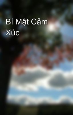 Bí Mật Cảm Xúc