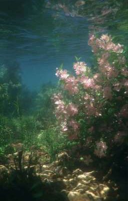 Biển cả và chúng ta