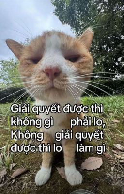 Biên Độ Trả Giá