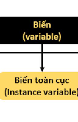 Biến Số trong Java - Phân biệt Field và Variable