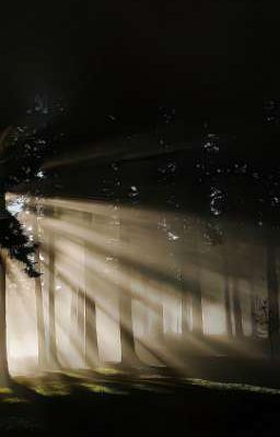 Biết Nhưng Không Nói