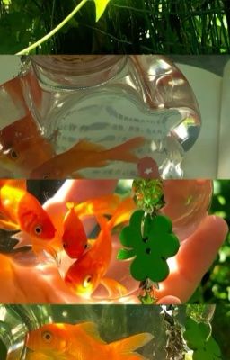 biniddori | dear diary