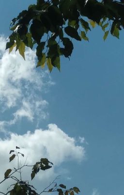 [BL] (AllIsagi)Thế Giới Mới