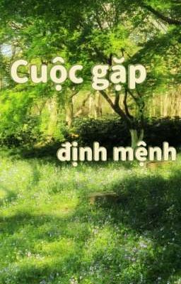 [BL] Cuộc Gặp Định Mệnh