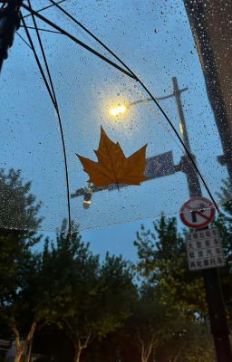 [BL] Để Thu Ôm Lấy Em Lần Cuối