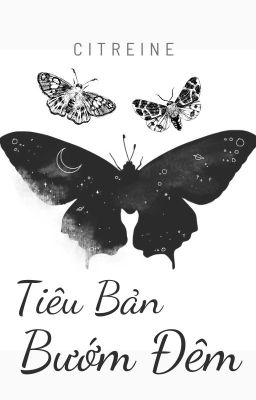 [BL] Tiêu Bản Bướm Đêm