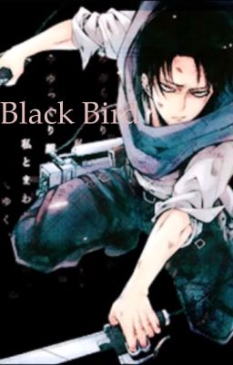 Black Bird ( Levi x Reader ) 