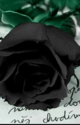 Black Rose