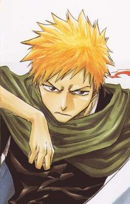 Bleach: The Shinigami In Another World