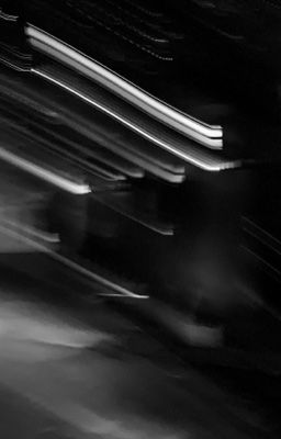 blog. ngày đẹp trời