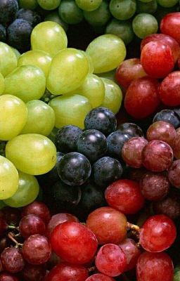 bmas; masonb | grape.