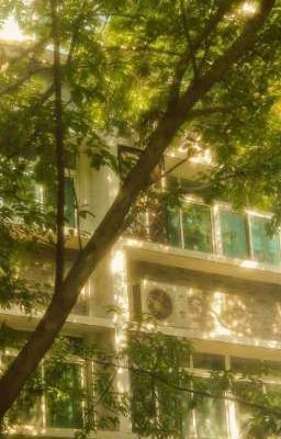 bmas | mùa hạ năm đó tôi nhận ra..