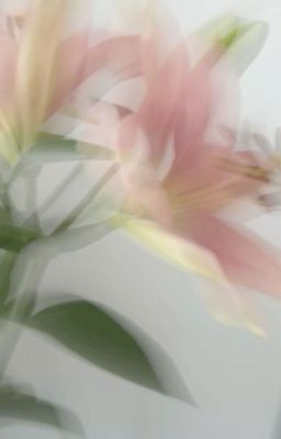bnst | khất