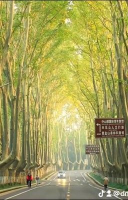 Bỏ Lỡ Cậu Rồi!