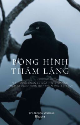 Bóng Hình Thầm Lặng