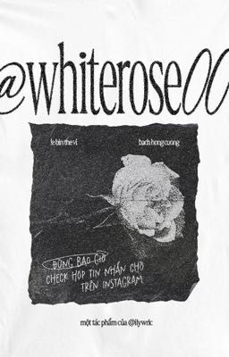 bqvn; @whiterose00