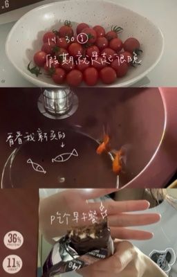 braygav ft atsh2 ; tarot reader