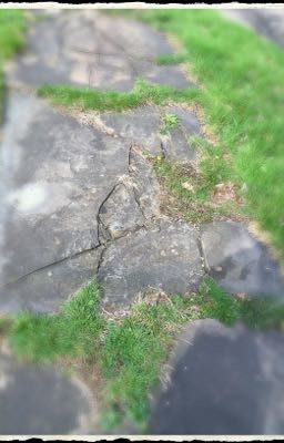 Broken Sidewalks