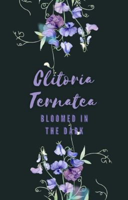 [BSD] [Dachuu/ Soukoku] Clitoria Ternatea bloomed in the dark