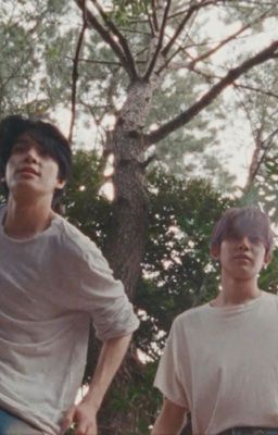 bụi phấn | heejake