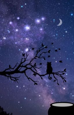 Bụi Sao Trên Đầu Đũa Phép