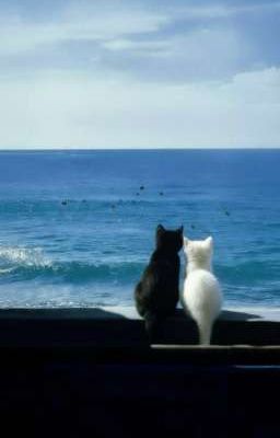 [Bùi Thủy] Nghe thiên mệnh