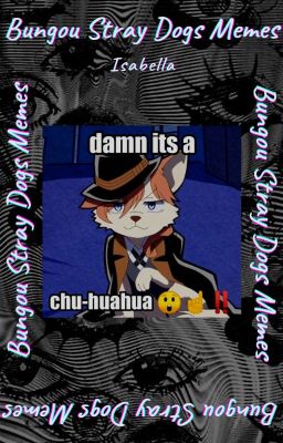 Bungou Stray Dogs Memes