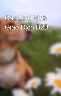 Các Loại Hình Giao Dịch B2B