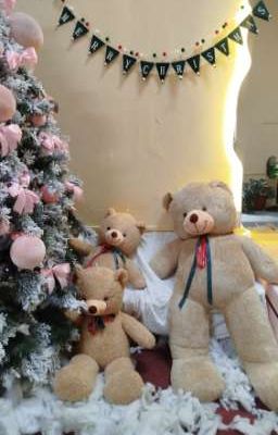 cái lồn hay nứng