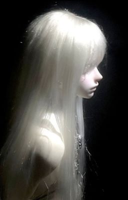cảnh báo đỏ, lãng long.