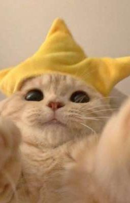 (caprhy) Một chút đáng iuuu