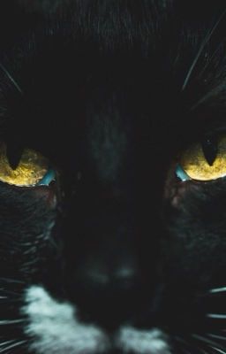 Cat-harsis!