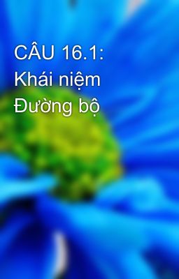 CÂU 16.1: Khái niệm Đường bộ
