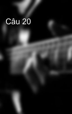 Câu 20