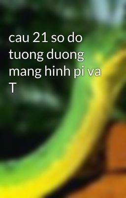 cau 21 so do tuong duong mang hinh pi va T