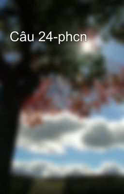 Câu 24-phcn