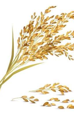 Câu chuyện lọc lừa