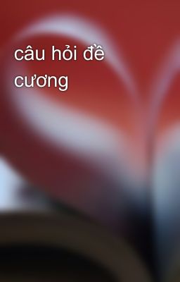 câu hỏi đề cương