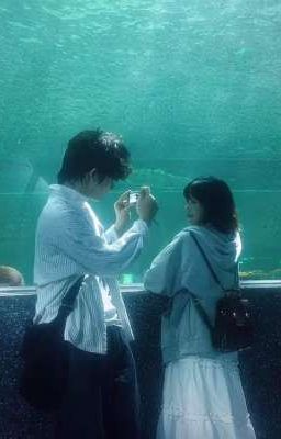 Cậu là mùa hạ của tớ