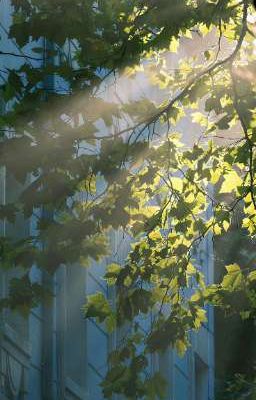 Chàng trai bất tử.