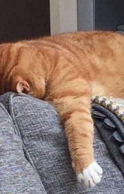 chàng trai đang sánh bước bên em, đằng nào rồi cũng sẽ thuộc về anh