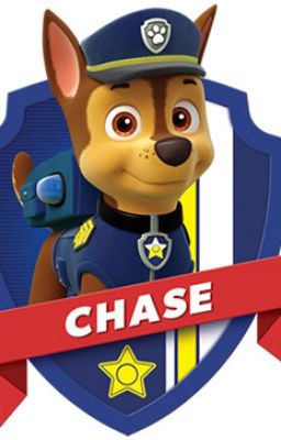 Chase x Skye love story