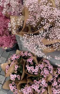 Chỉ cần cậu ở đây