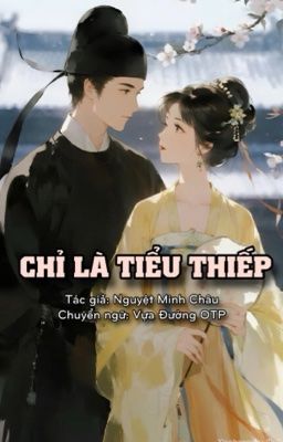 Chỉ Là Tiểu Thiếp