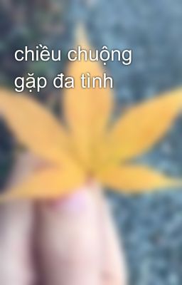 chiều chuộng gặp đa tình