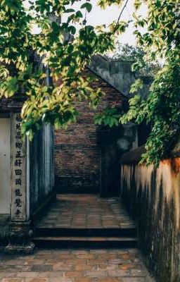 Chiếu hát chiều tàn [dnal]