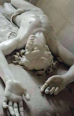 [Chiêu Khang] Chiêu xinh hoá mèo rồi