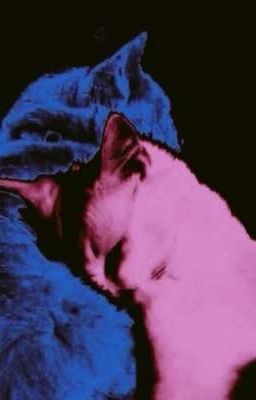 [Chiêu Khang] 如果爱忘了