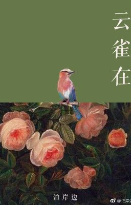 Chim Sơn Ca Ở - Bạc Ngạn Biên